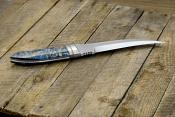 zgm 26 aculeus 5-2024 0390